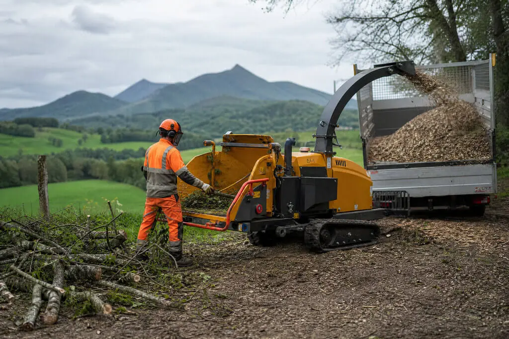 Broyage et évacuation de déchets végétaux après élagage