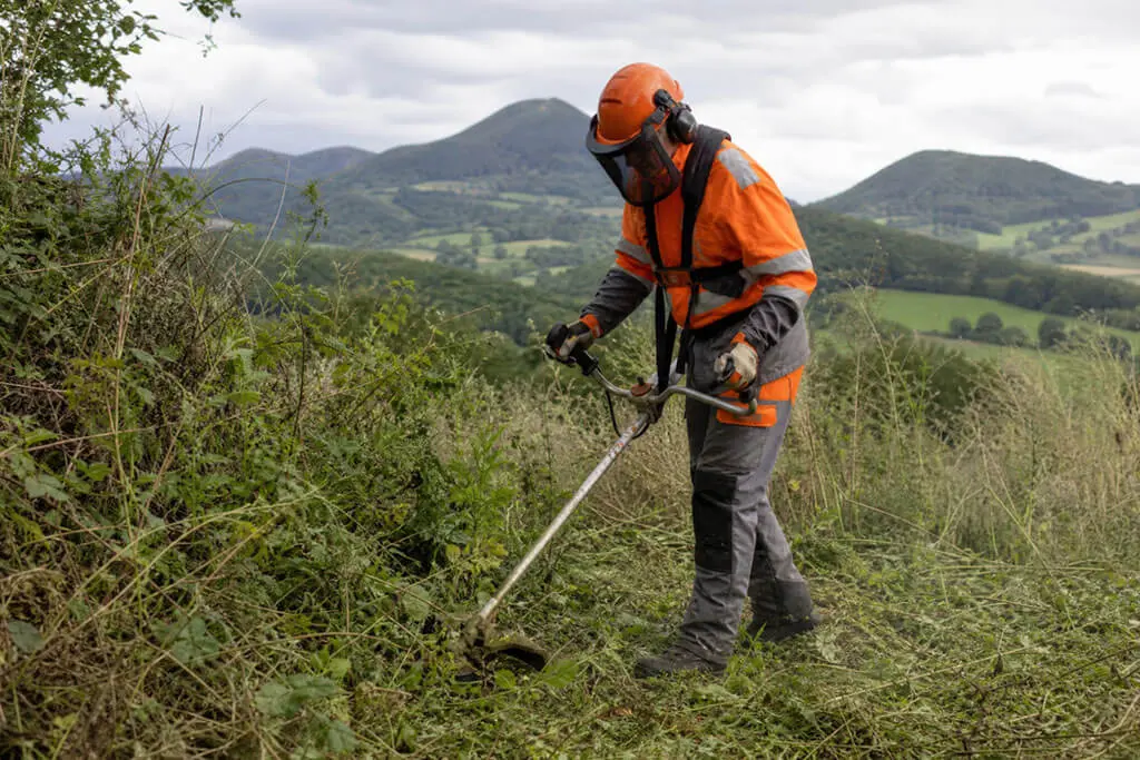 Débroussaillage et entretien d'espaces verts dans le Puy-de-Dôme
