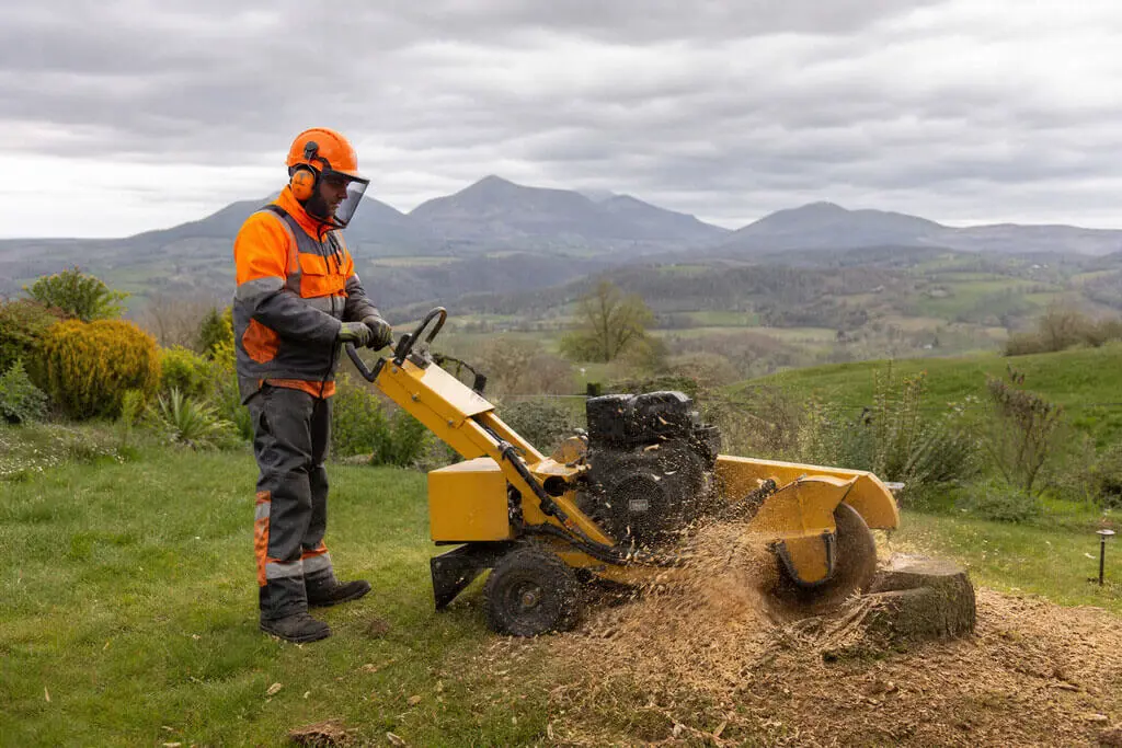 Dessouchage et rognage de souche dans le Puy-de-Dôme