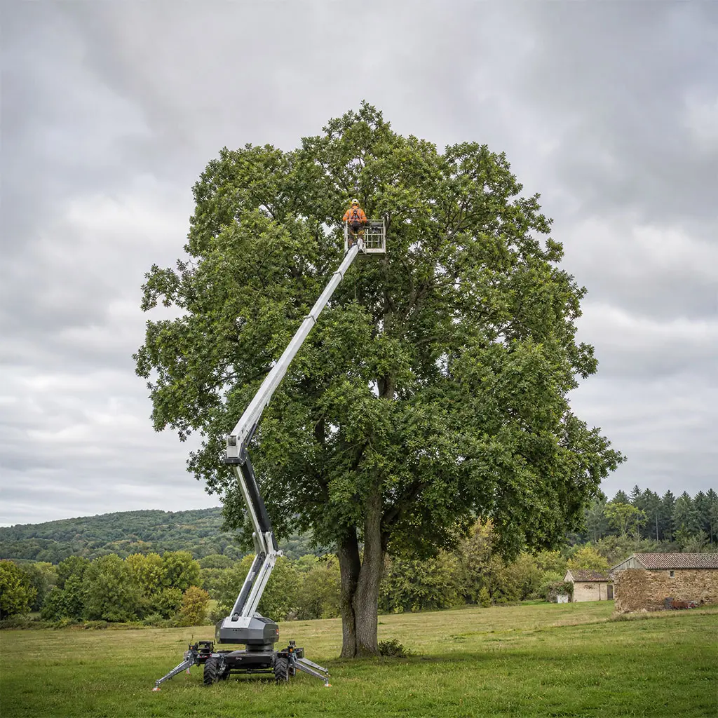 Allo Manu Élagage, artisan élagueur avec nacelle 20 m dans le Puy-de-Dôme