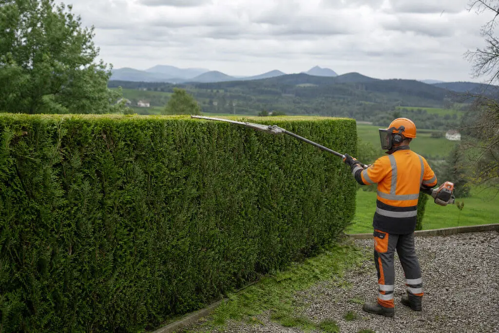 Taille de haies et arbustes à Lezoux et dans le Puy-de-Dôme